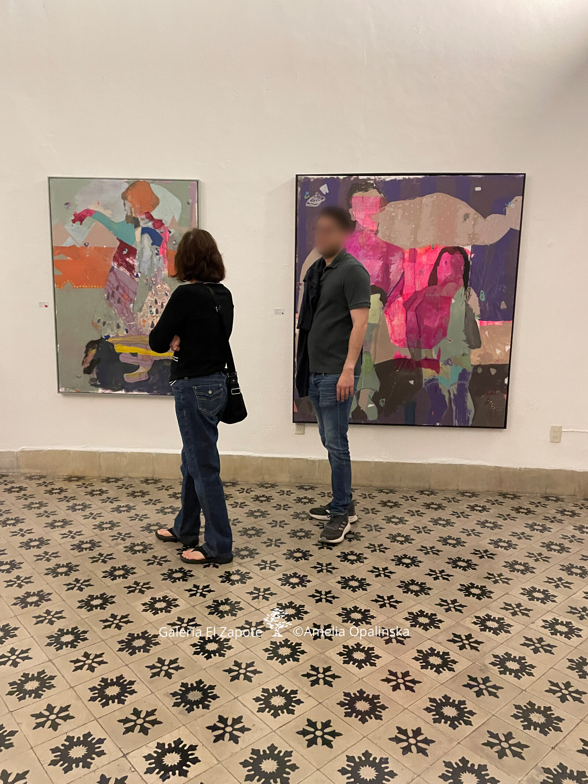 vaiven-butterflies-catcher-opalinskapaintingsoncanvas-elzapotegallery